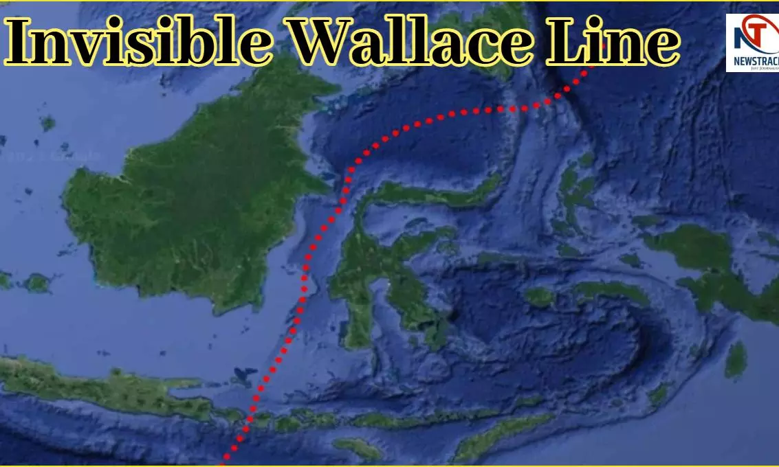 History Of Wallace Line