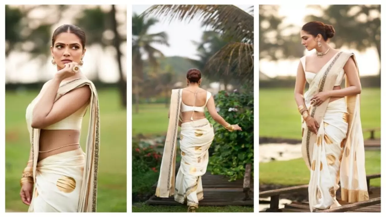 Malavika Mohanan top 5 saree look