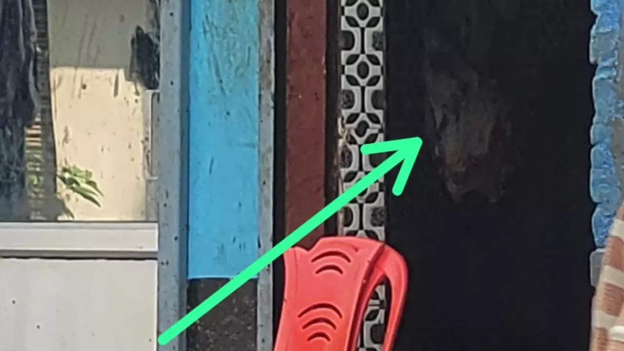 Etah News: एटा में खुलेआम चल रहा अवैध मांस कारोबार: पुलिस की सरपरस्ती में कट्टीघरों का साम्राज्य, लाखों की कमाई