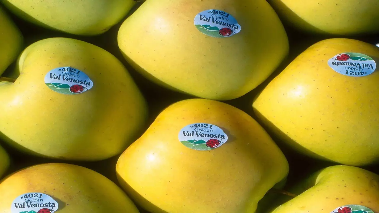 Fruit Sticker Code