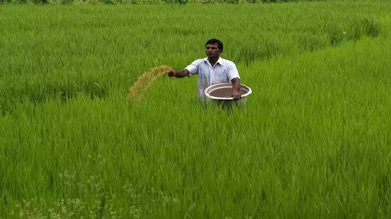 Lakhimpur Kheri News: किसानों को नहीं होगी अब खाद की दिक्कत, 2640 मीट्रिक टन उर्वरक की रैक पहुंची गोला