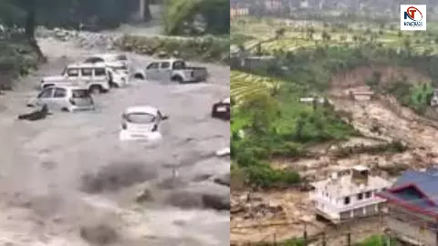 Himachal Rain News Himachal Rain News