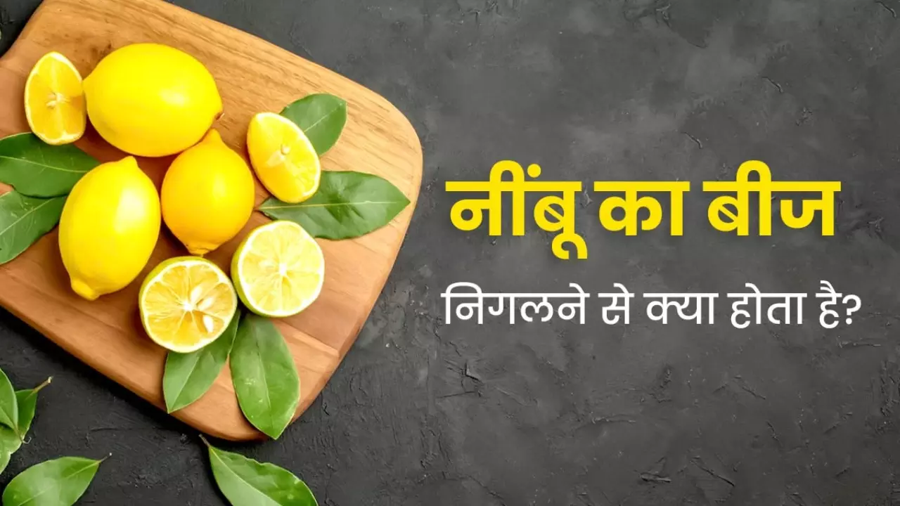 lemon seed benefits and side effects