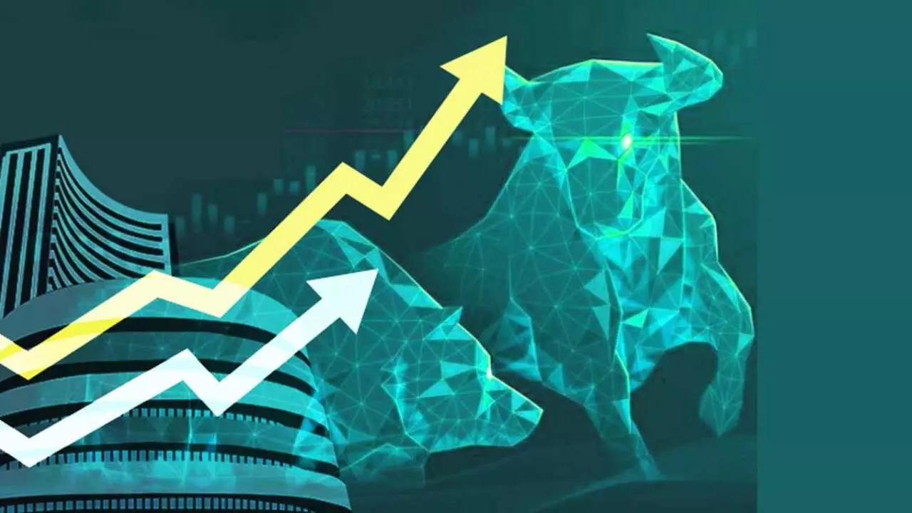 Market Insight