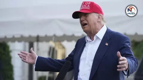Alligator Alcatraz Donald Trump Bold Solution