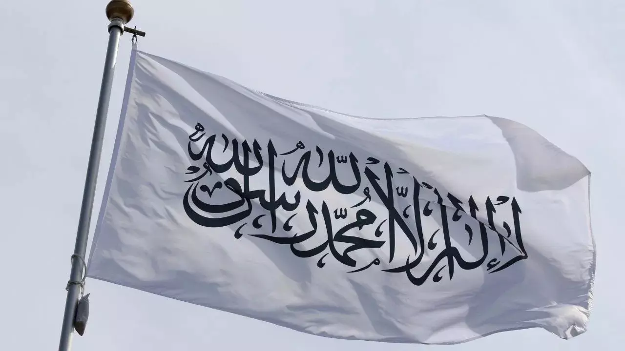 Taliban Is In Global Demand