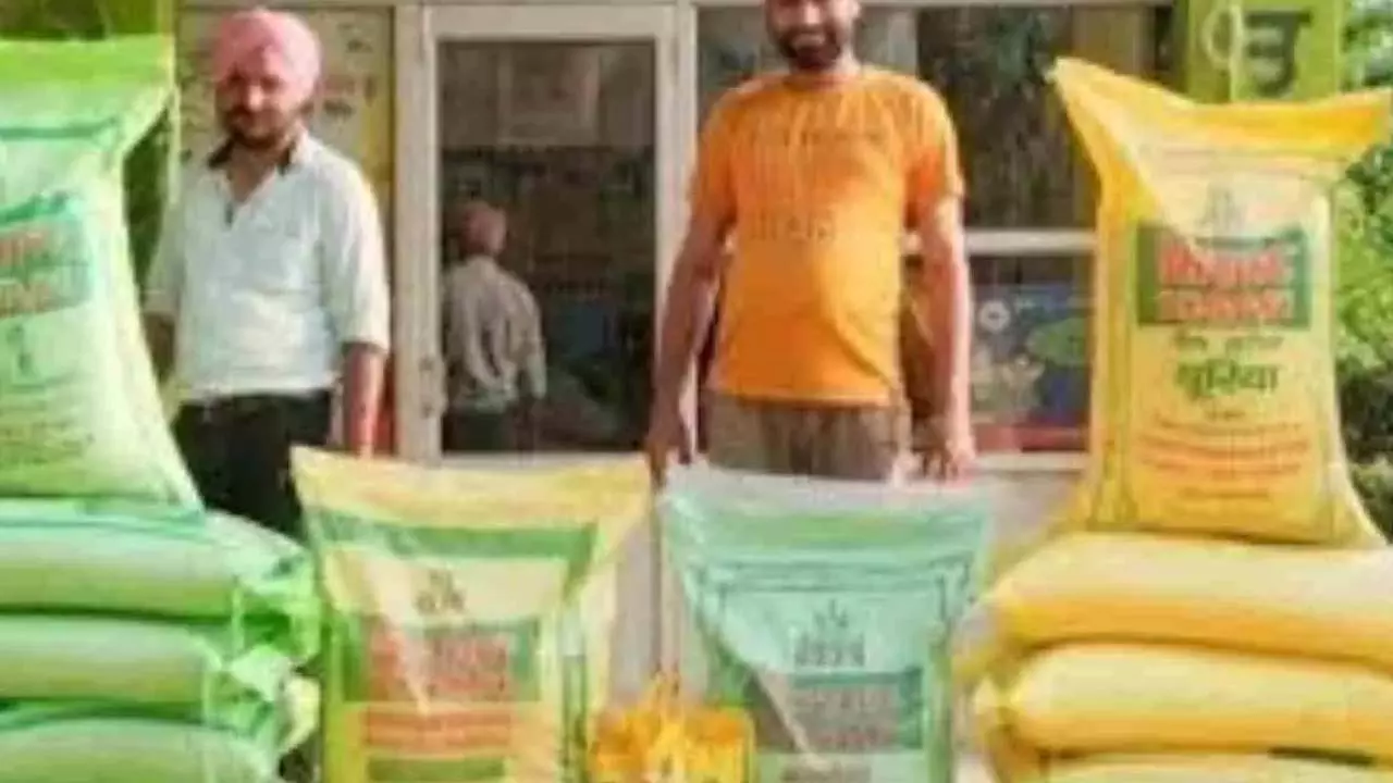 Farmers angry over non existence of DAP on cooperative societies