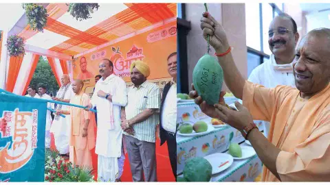Lucknow News: मुख्यमंत्री योगी ने आम महोत्सव का किया उद्घाटन! हाथों में योगी आम लिखा आम लेकर खिंचवाई फ़ोटो, कवि कुमार विश्वास होंगे शामिल Lucknow News: मुख्यमंत्री योगी ने आम महोत्सव का किया उद्घाटन! हाथों में योगी आम लिखा आम लेकर खिंचवाई फ़ोटो, कवि कुमार विश्वास होंगे शामिल