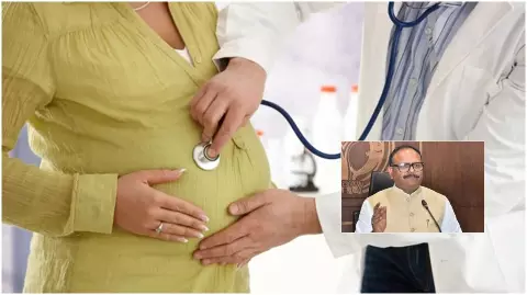 Lucknow news: यूपी के 20 जिलों में लागू होगी सीसा विषाक्तता आंकलन परियोजना: ब्रजेश पाठक