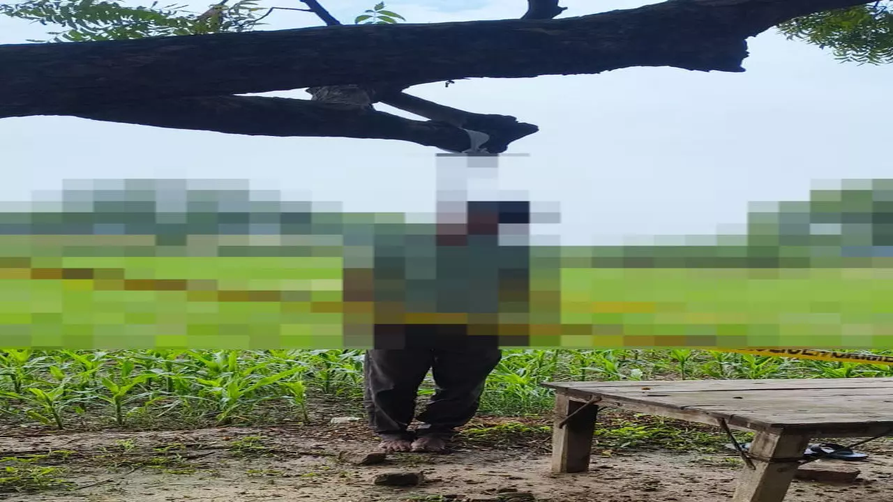 Etawah News: हत्या के मामले में जमानत पर बाहर आए युवक का फांसी पर लटका मिला शव, इलाके में फैली सनसनी