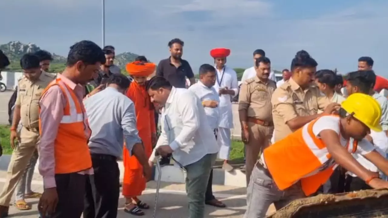 Jhansi News: झाँसी में अज्ञात वाहन ने एक दर्जन से अधिक गायों को कुचला, सात की दर्दनाक मौत