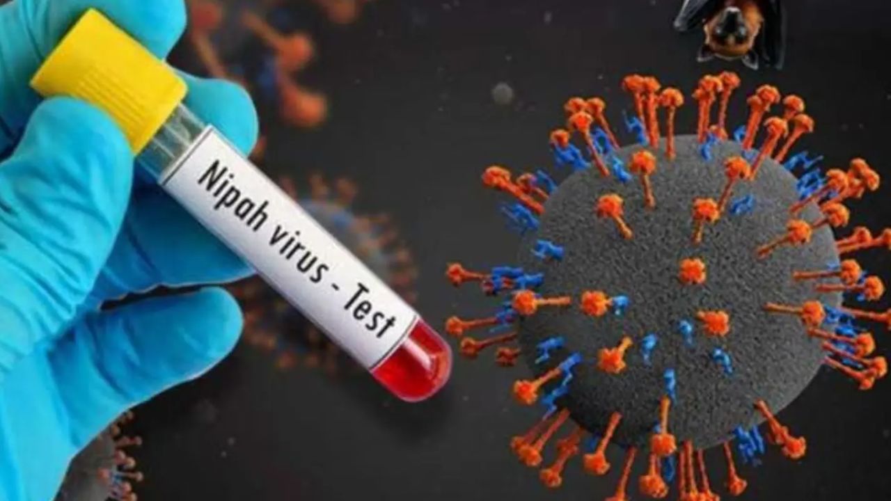 Nipah virus returned to India again more than 400 cases in kerala hospital on emergency mode| Lockdown Due To Nipah Virus| Nipah Virus Update| | सावधान! भारत में लौट आया 'निपाह' वायरस,