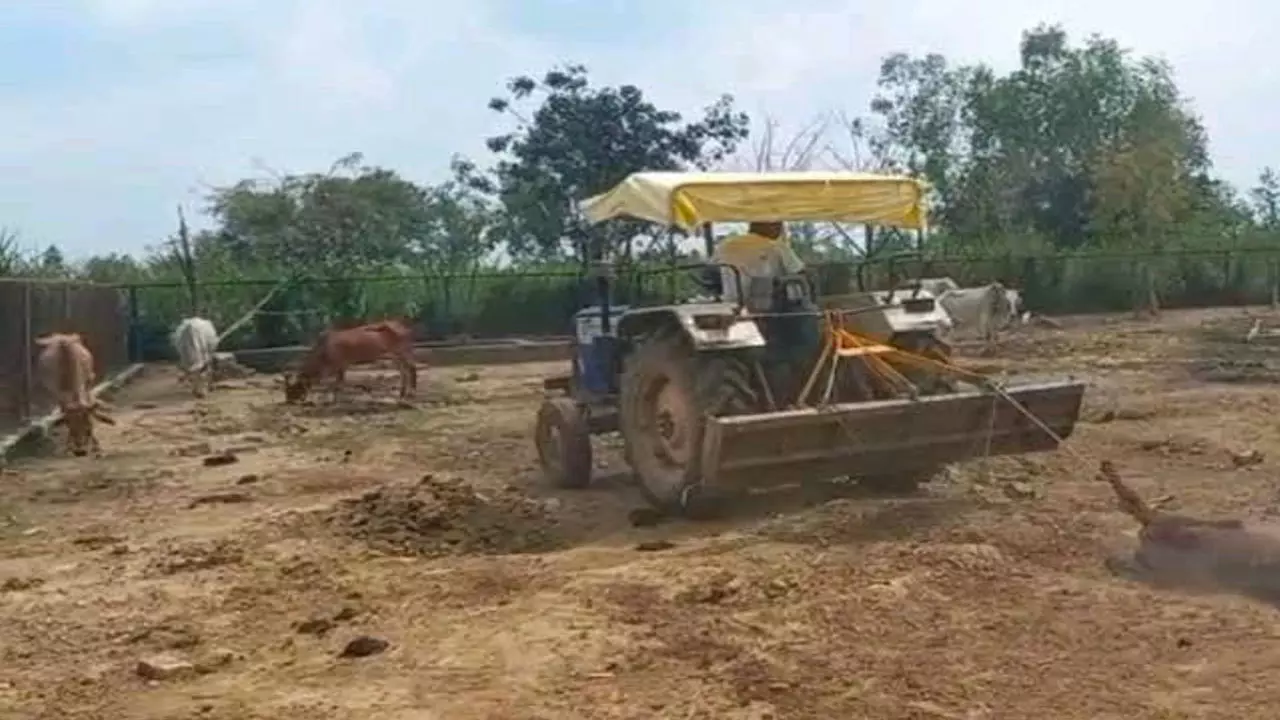 Auraiya News: मृत गाय को सड़क पर घसीटने का मामला, ग्राम प्रधान की टिप्पणी से भड़के ग्रामीण