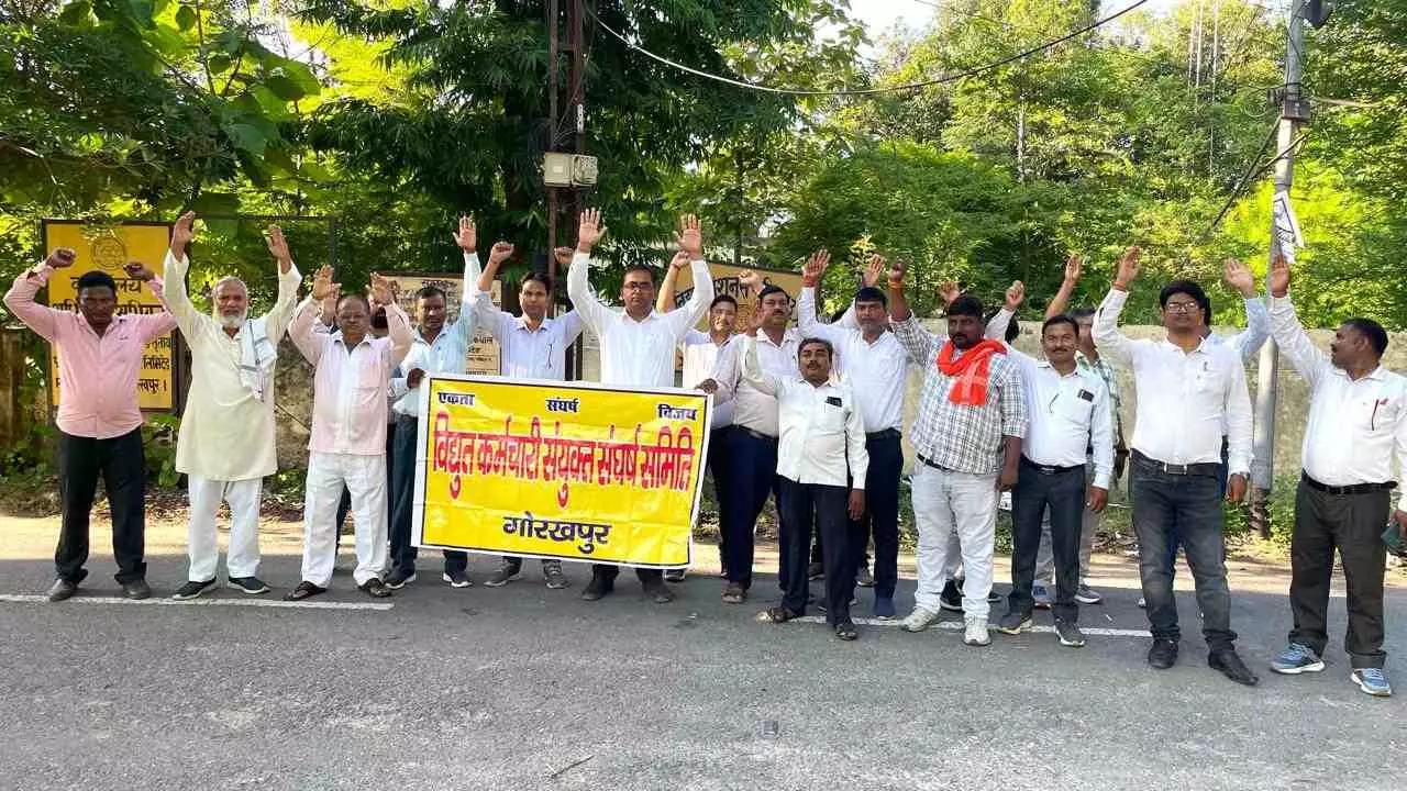 बिजली निजीकरण के विरोध में कर्मचारियों का प्रदर्शन