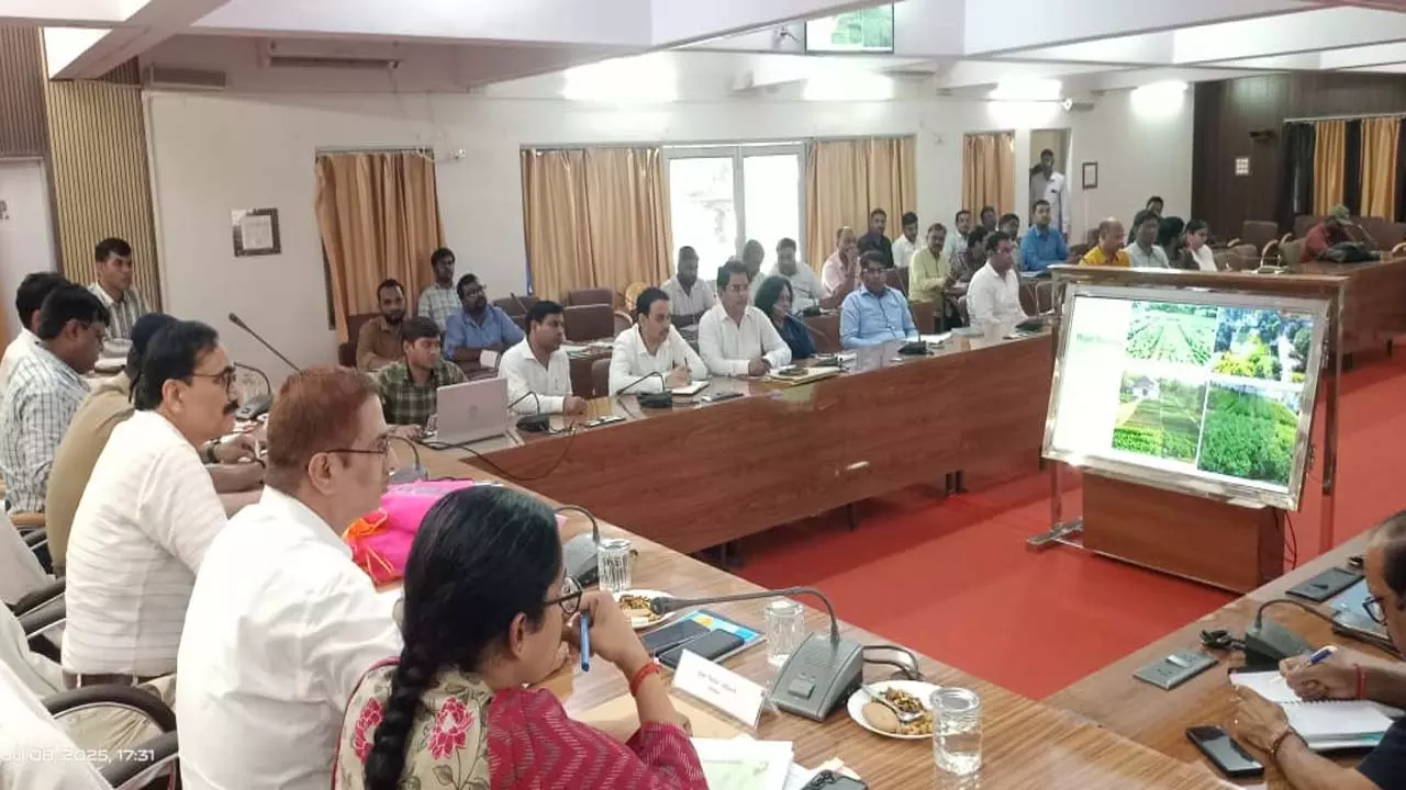 plantation-drive-mother-tree-campaign-sonbhadra-july-9-2025