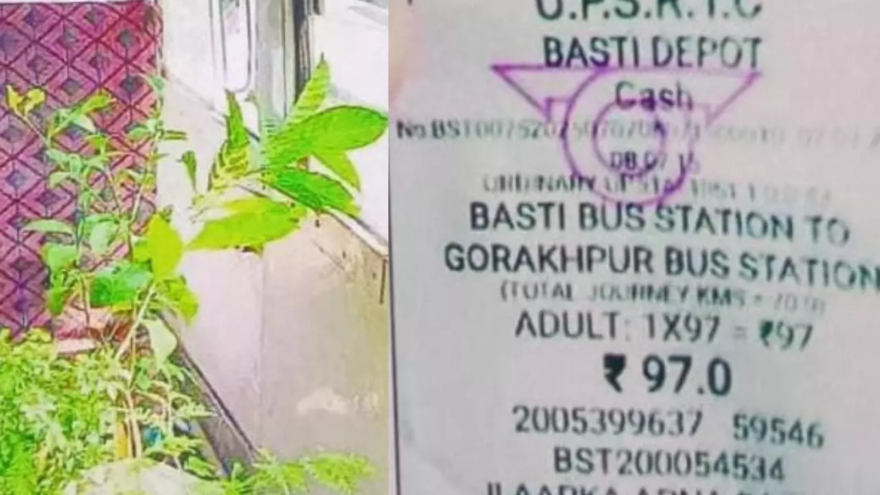 Gorakhpur News: रोडवेज में पौधे ने सफर किया तो लगेगा टिकट, यकीन नहीं तो 97 रुपये का टिकट देखिये