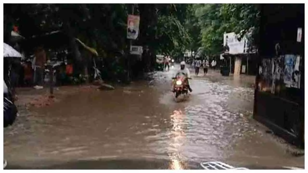 Mainpuri News: बारिश ने खोली नगर पालिका की पोल, वकीलों की बस्ती जलमग्न, कई सड़कें धंसीं