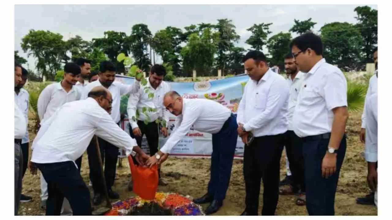 Shravasti News: पर्यावरण संरक्षण के लिए पौधारोपण जरूरी: जनपद न्यायाधीश