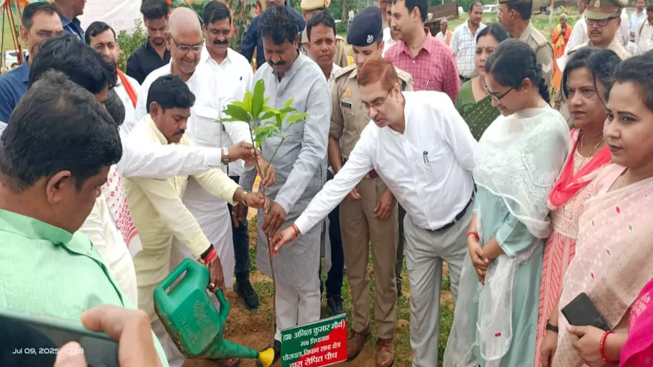 Sonbhadra News: सोनभद्र ने बनाया पौधरोपण का नया रिकार्ड, रोपे गए एक करोड़ 58 लाख पौधे