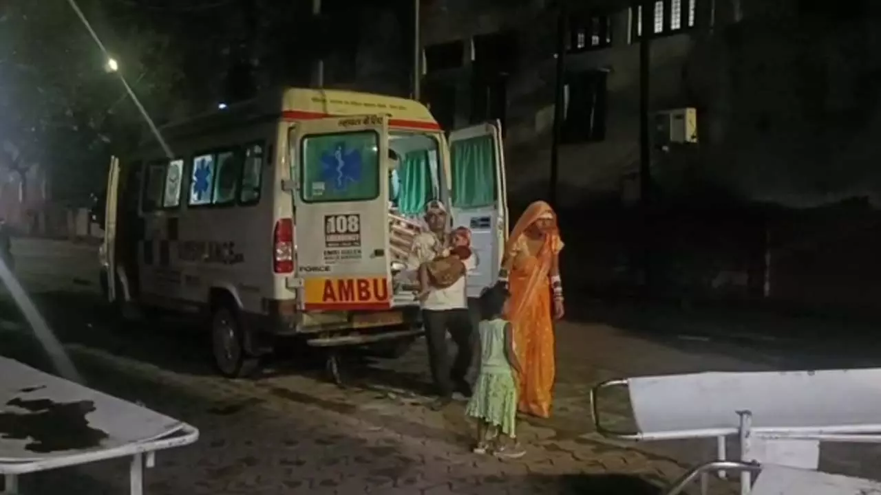 Aligarh: Auto overturns, driver, wife and two children injured while rescuing cows