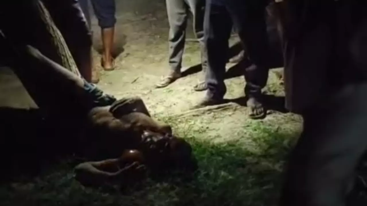Fatehpur News: फतेहपुर में युवक को चोरी के शक में पेड़ से उल्टा बांधकर पीटा, हालत गंभीर, पुलिस ने कार्रवाई का आदेश दिया