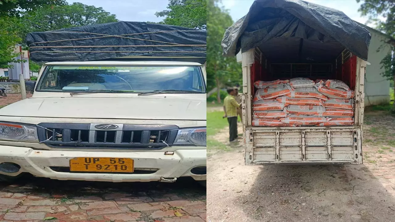 Macca smuggling cracked down on Nepal border: 50 bags of maize seized, one smuggler arrested