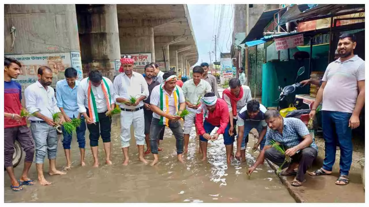 Sonbhadra News : हाइवे के साइड रोड पर जलजमाव का कांग्रेसियो ने किया विरोध, सड़क पर धान की रोपाई कर किया प्रदर्शन