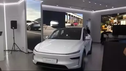Tesla Showrooms in India Launch