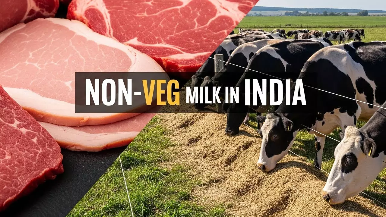 American non veg milk controversy in India