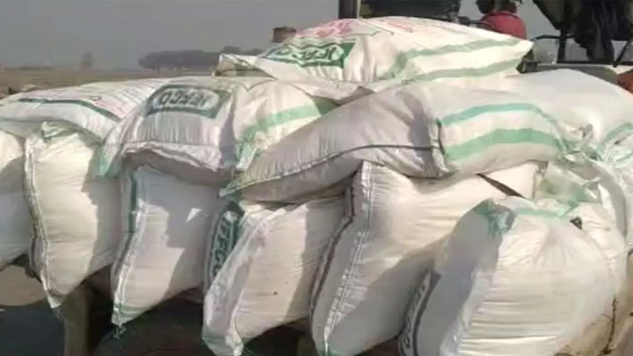 Fertilizer crisis deepens in Lakhimpur Khiri: Ministers claims reversed, black market and smuggling continues