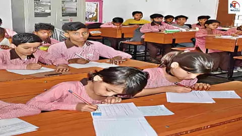 UP News UP News