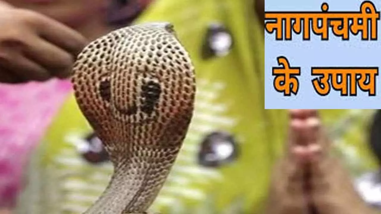 Nag Panchami Ke Upay :इस दिन इन कामों को करने से  महादेव होंगे प्रसन्न,  मिलेगी  पाप ग्रहों से मुक्ति, नहीं लगेगा सर्प दोष, जानें  नागपंचमी के उपाय
