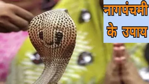 Nag Panchami Ke Upay :इस दिन इन कामों को करने से महादेव होंगे प्रसन्न, मिलेगी पाप ग्रहों से मुक्ति, नहीं लगेगा सर्प दोष, जानें नागपंचमी के उपाय Nag Panchami Ke Upay :इस दिन इन कामों को करने से महादेव होंगे प्रसन्न, मिलेगी पाप ग्रहों से मुक्ति, नहीं लगेगा सर्प दोष, जानें नागपंचमी के उपाय