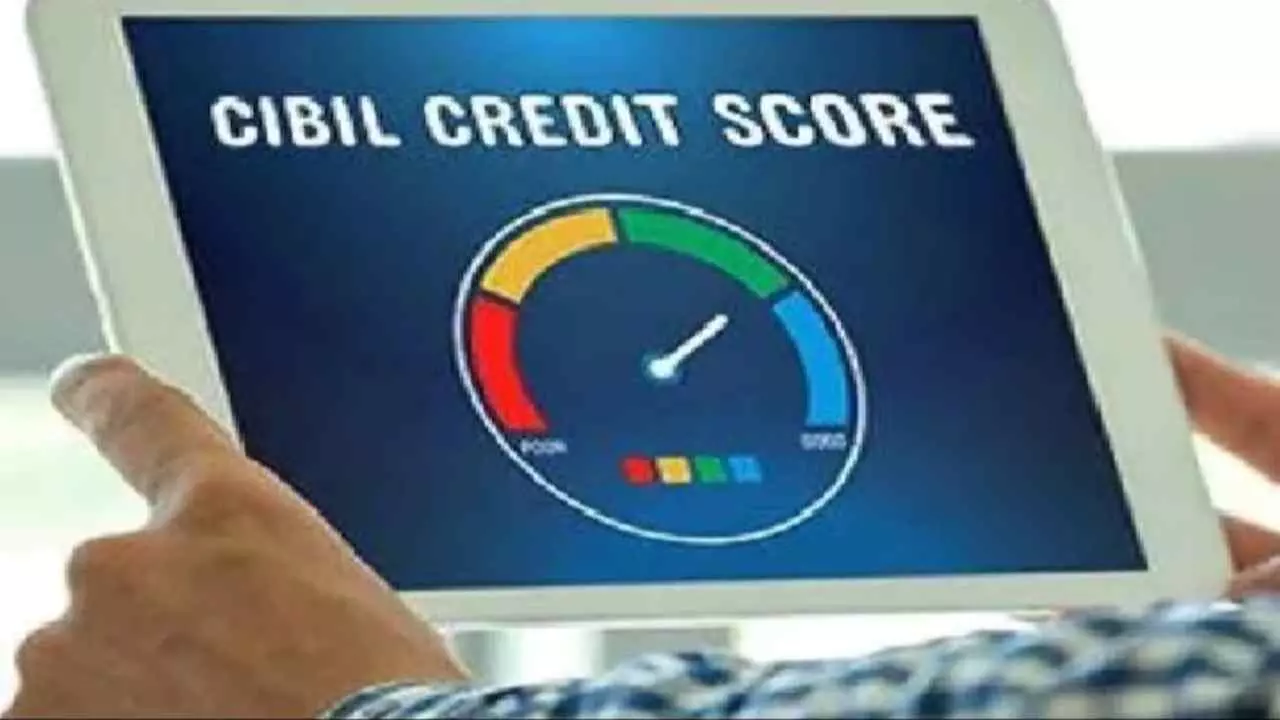 CIBIL Score Guide