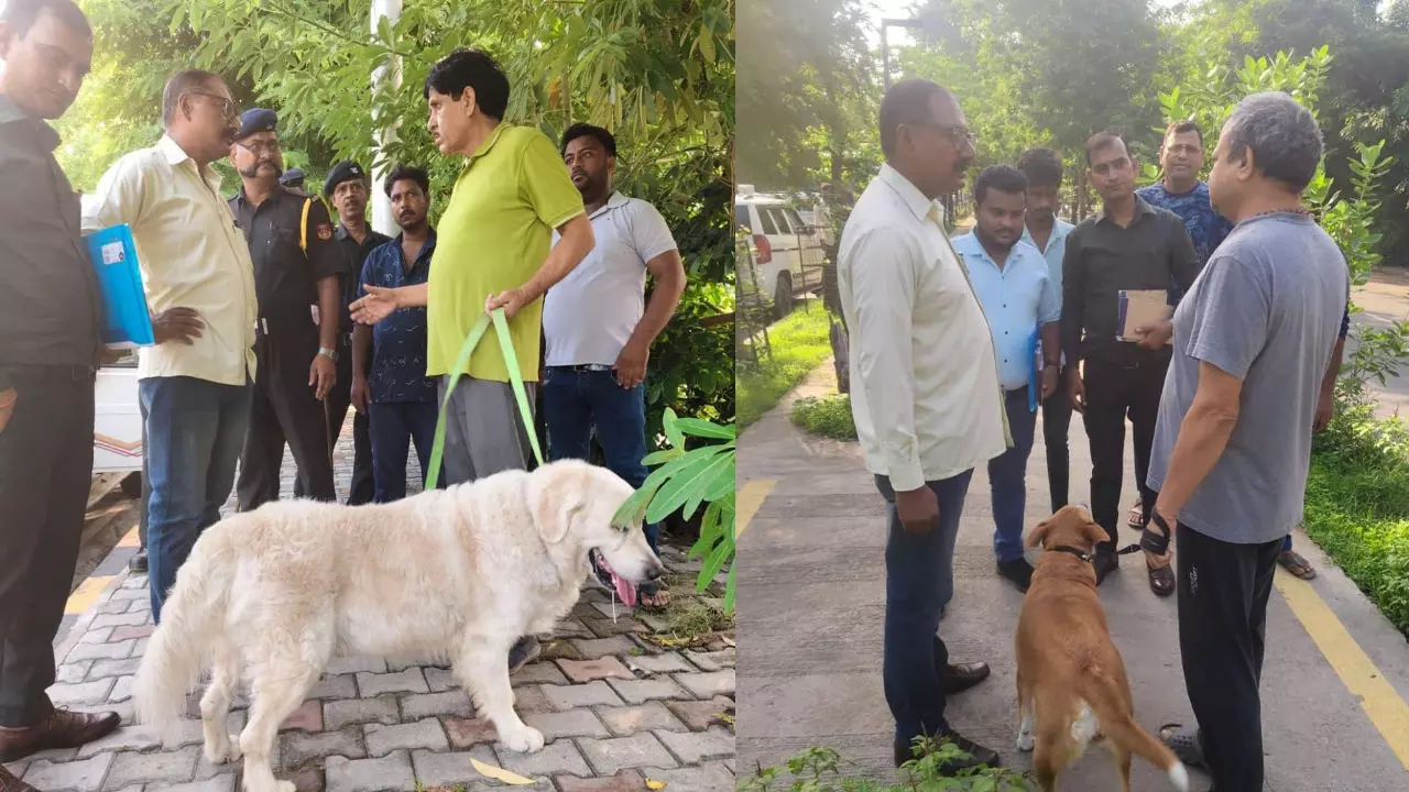 Lucknow News: बिना लाइसेंस कुत्ता पालने वालों पर लखनऊ नगर निगम की सख्ती, जुर्माना वसूलते हुए काटे चालान