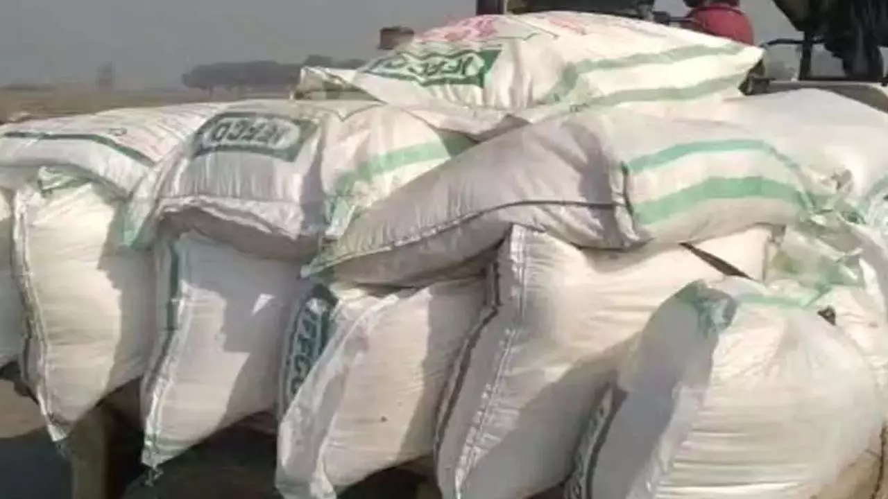 Irregularities and pressure in fertilizer distribution alleged, child talking after rudeness from secretary
