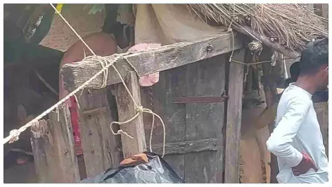 Mainpuri News: बरसात में झोपड़ी में रह रहा एक परिवार, सरकारी मदद से वंचित