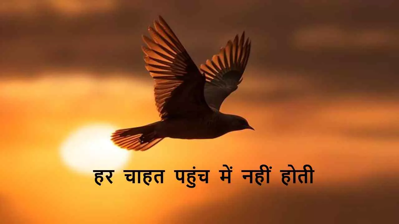Not every Desire is within Reach