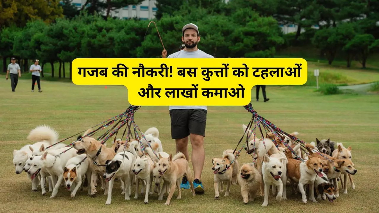 Dog Walker Viral Video