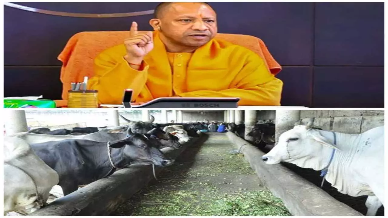 CM योगी का ताबड़तोड़ एक्शन! गोशाला कांड में दो फर्मों पर FIR, कई अफसर सस्पेंड