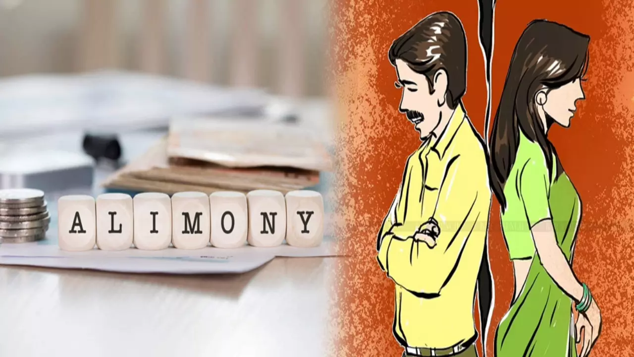 तलाक में एलुमनी का खेल! महिलाओं का लालच या उनका हक, क्यों बढ़ रहा है ये ट्रेंड?