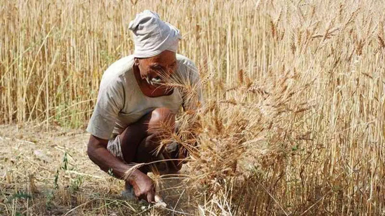 UP News: कृषि श्रमिकों के लिए गुड न्यूज! न्यूनतम मजदूरी में ऐतिहासिक बढ़ोतरी, अब मिलेगी कितनी मजदूरी