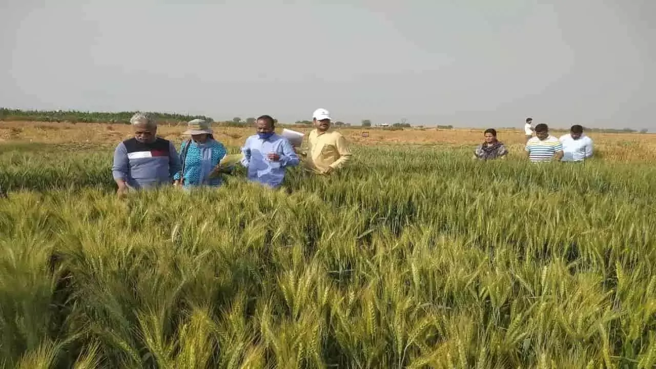 Farm stay in Bundelkhand will boost tourism industry, innovative use of Yogi government