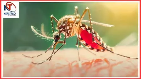 Chikungunya Ka Khatra