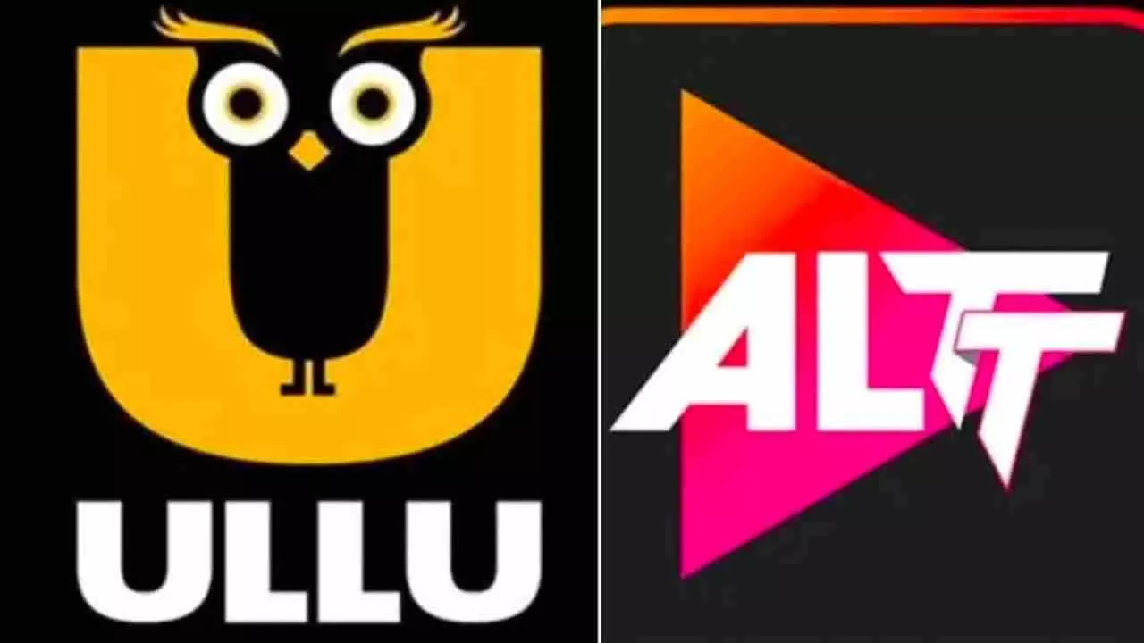 Adult Content App Banned