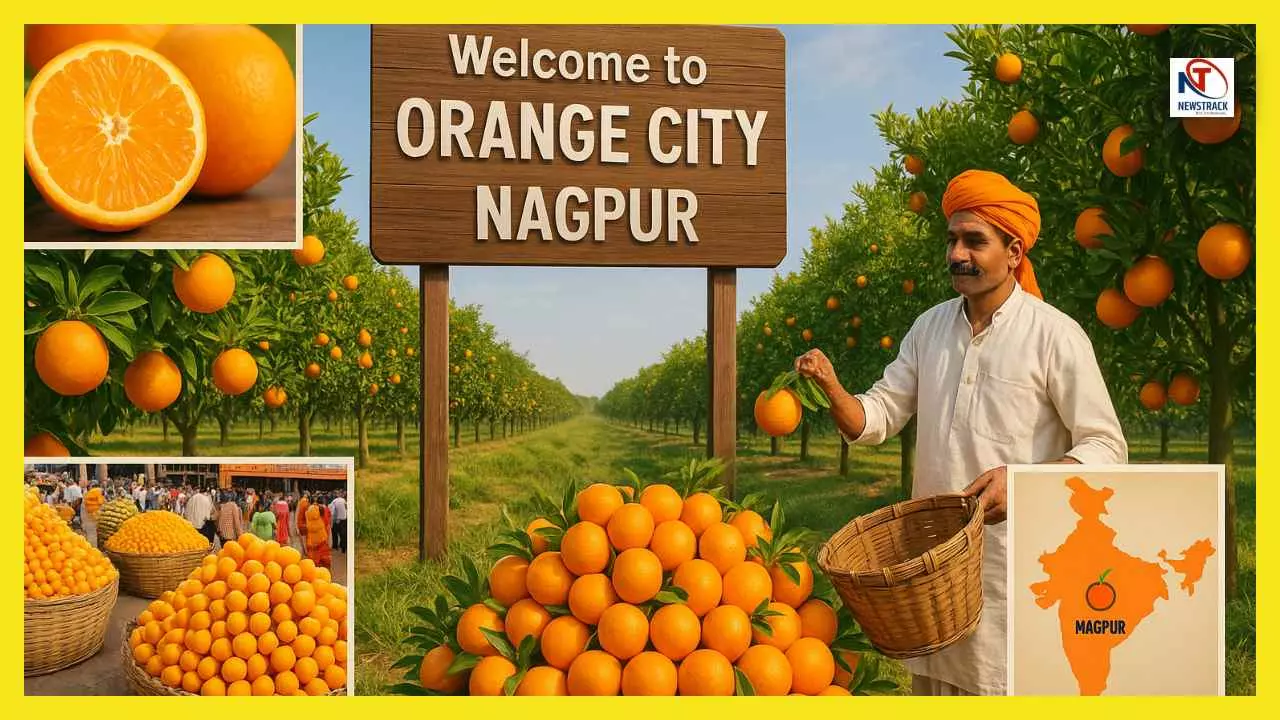 Nagpur Orange History