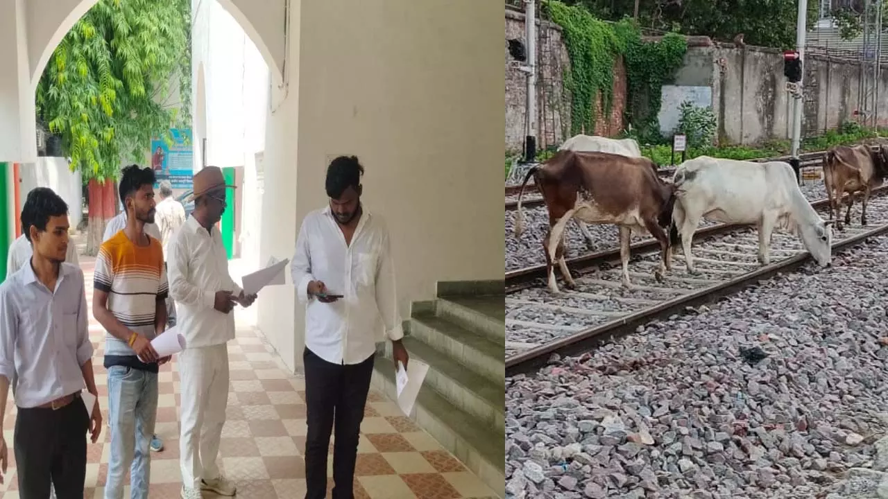 Two cows killed by train cut, anger in Hindu organizations