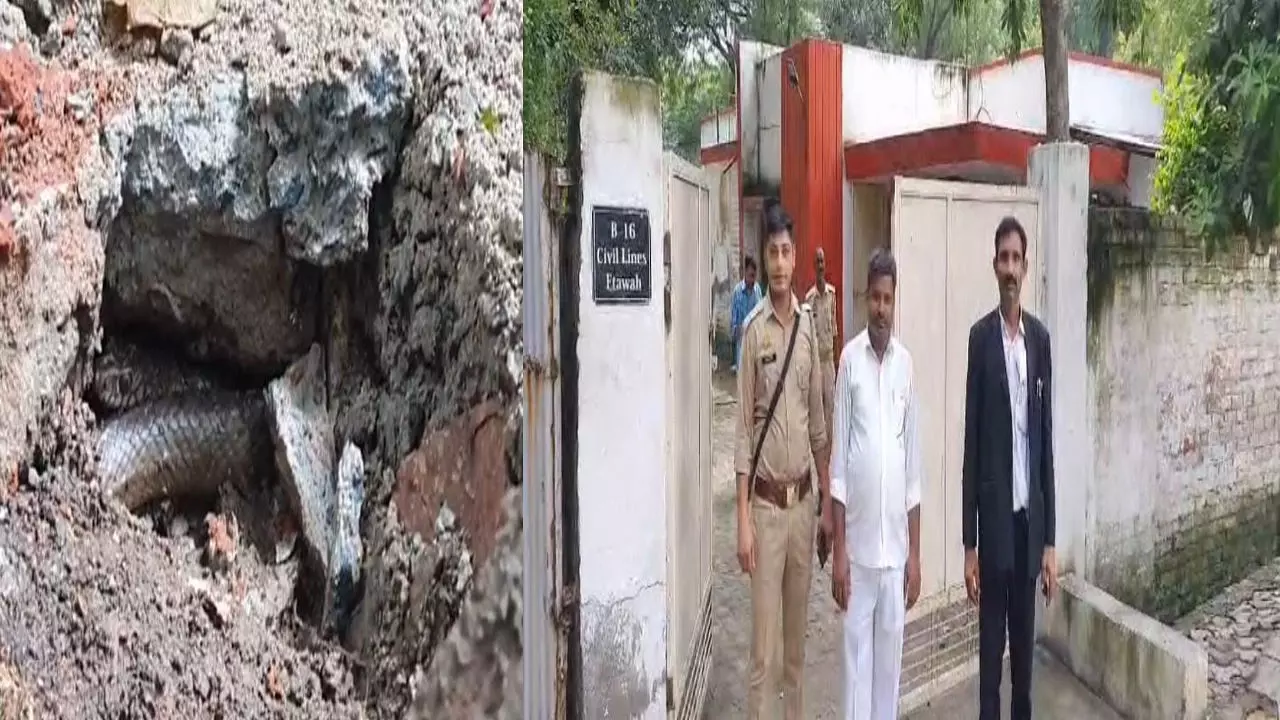 Etawah News: एडीजे के आवास पर निकला 4 फीट लंबा सांप, मचा हड़कंप, सर्पमित्र ने कही ये बड़ी बात