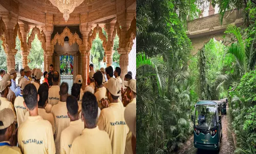 Vantara and Project Elephant: वनतारा और प्रोजेक्ट एलिफ़ेंट ने हाथियों की सेवा को समर्पित भारत का सबसे बड़ा प्रशिक्षण कार्यक्रम आयोजित किया