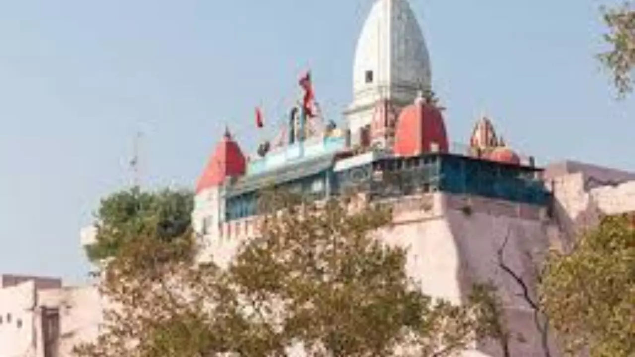 Maa Mansa Devi